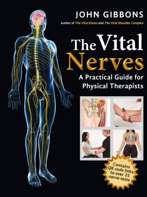 The Vital Nerves Book by John Gibbons – The Bodymaster The Vital Nerves. New Book by John Gibbons - The Bodymaster